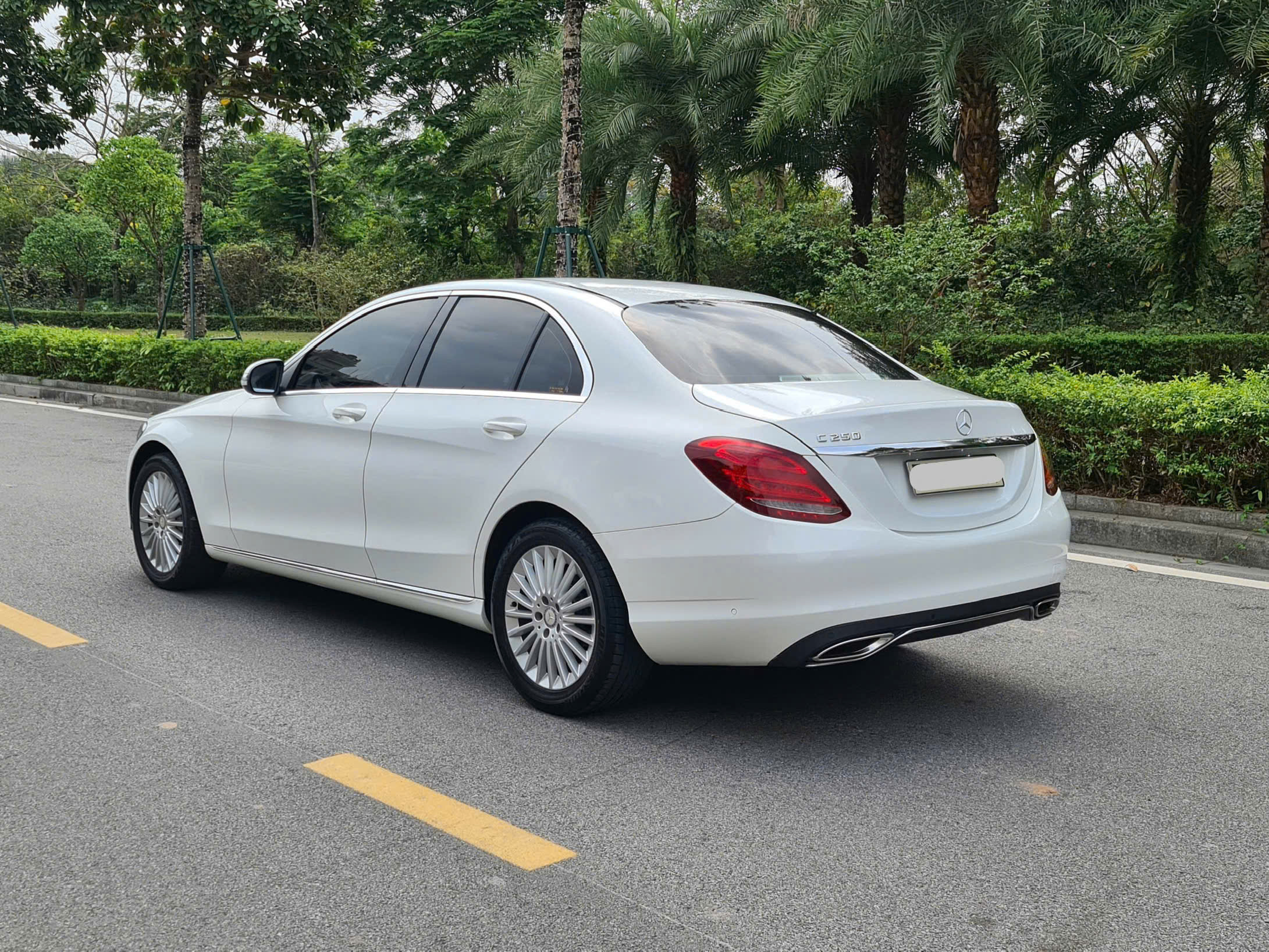 z7653338760163_020_42a0c6b065b1b74aee339eaca6b67ce3